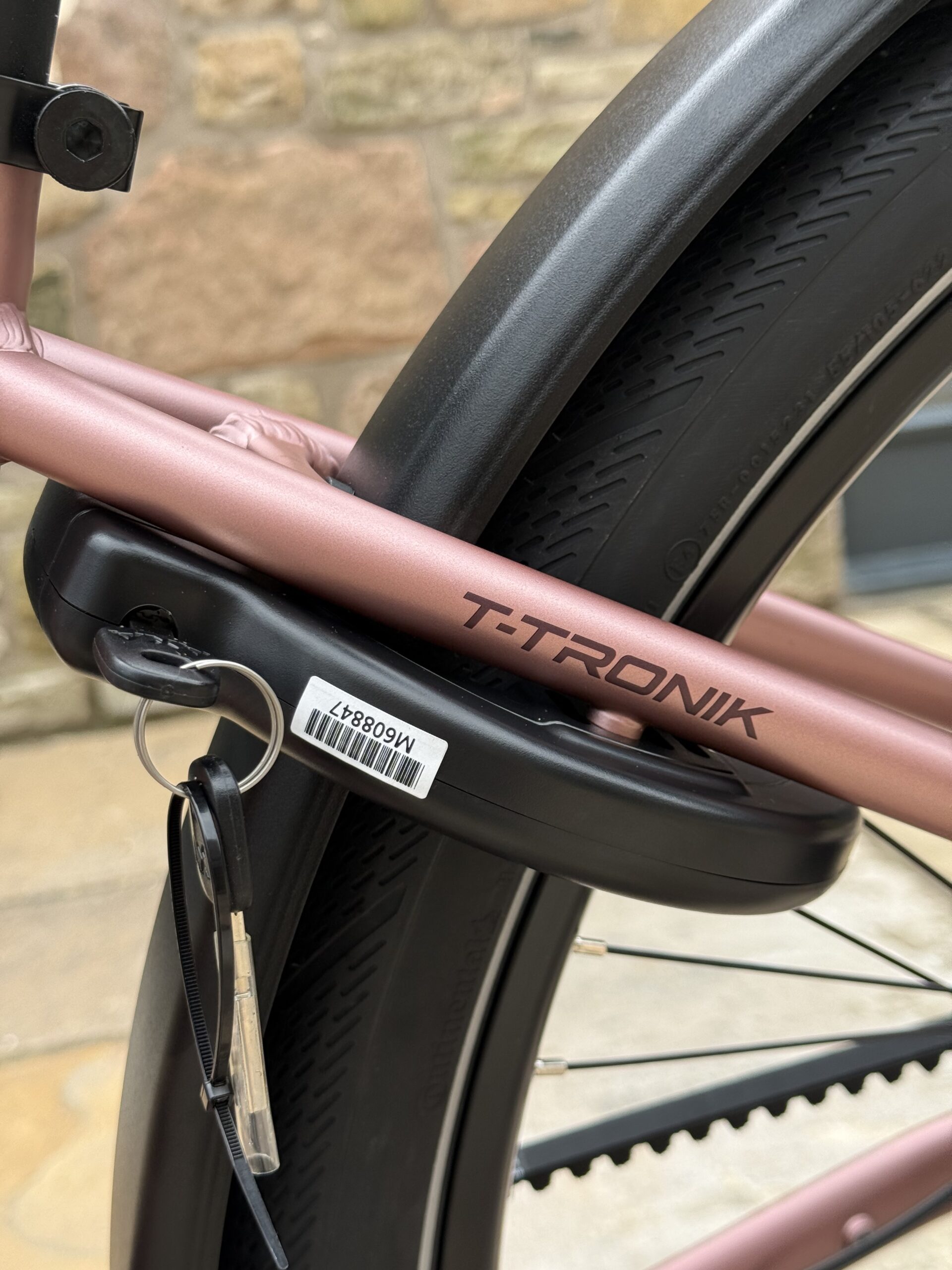 Bianchi - T-TRONIK C-Type 8.2 Nexus 5Sp Belt Drive 2026 - Image 10